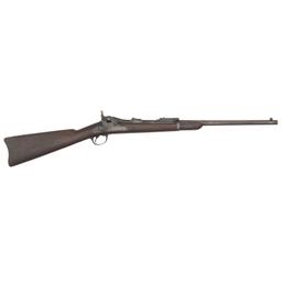 Springfield Model 1884 Carbine