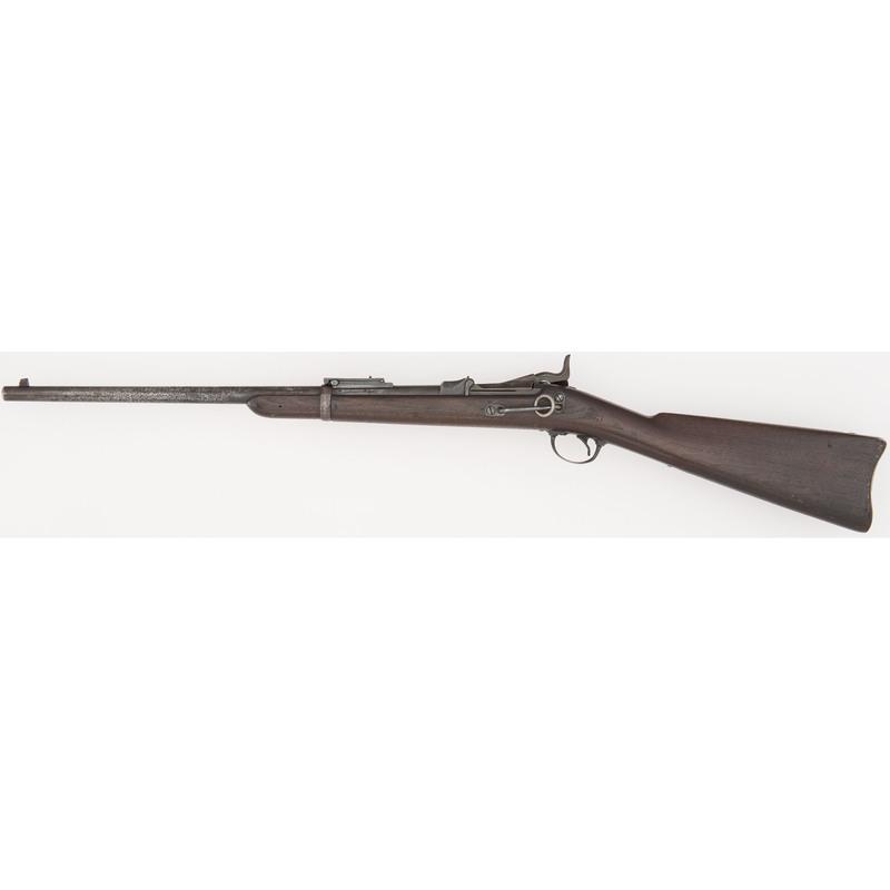 Springfield Model 1884 Carbine