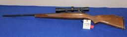 .243 Rifle w/new hasting