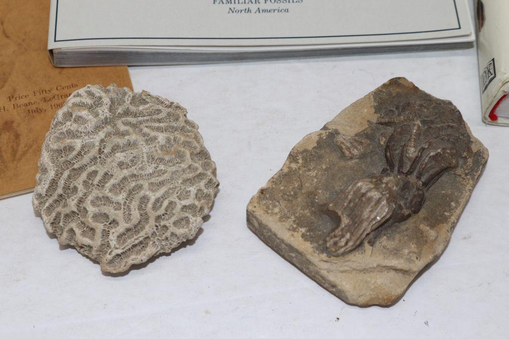 Iowa Crinoid Fossil, Coral & Books, etc.