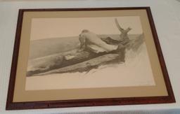 Vintage Andrew Wyeth Large Framed Print 25x31 April Wind Worm Hole Wooden Frame Art Artwork