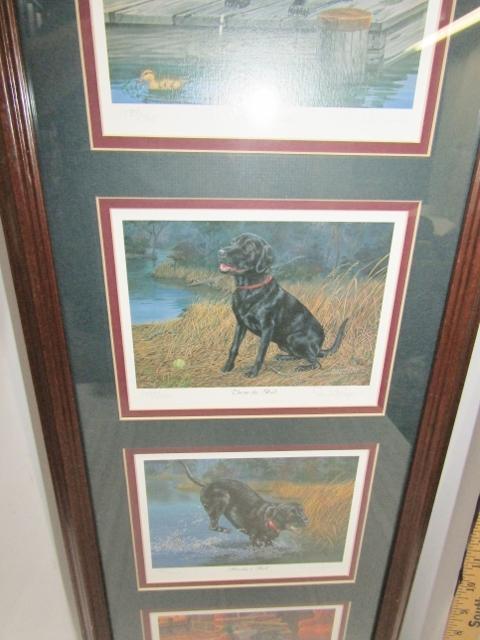 4 Different Framed Limited Edition Prints Of Labrador Retrievers By