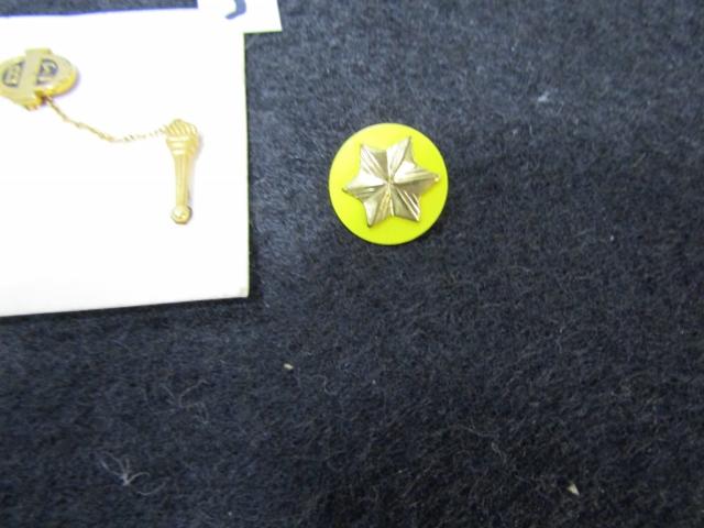 6 Vtg Pins: 2 Are Masonic; A Jaycees; A J C I Senate Pin; A Beta Sigma Pin From