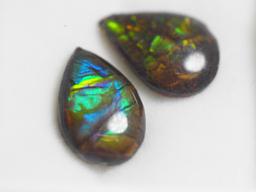 2 Genuine Canadian Ammolite Tear Shaped Pieces Gemstones