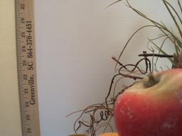 Center Piece Cast Metal Stand w/ Fruit & Foliage Arrangement on Double Handled Plinth Base