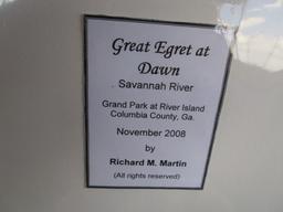 "Great Egret at Dawn" Original Photograph by Richard Martain