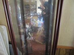 Wooden Display Cabinet Mirror Back, Lighted w/ Adjustable Glass Shelves