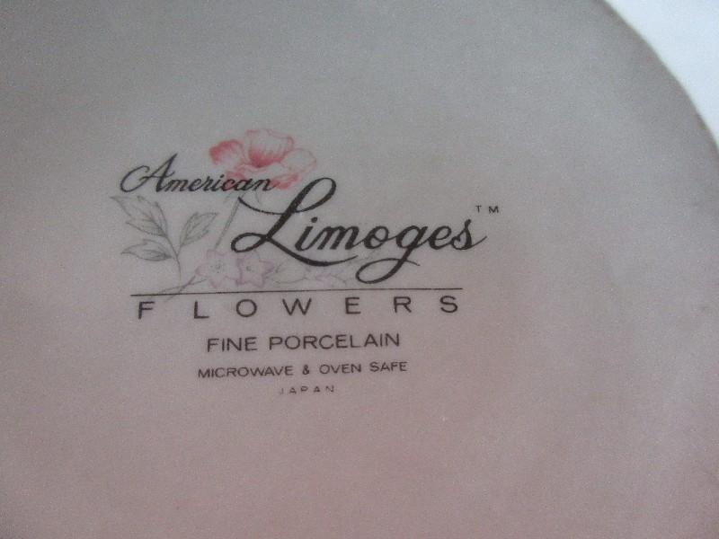8 Pieces - Americana Limoges Fine Porcelain Flowers Pattern