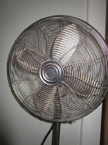 Tall Standing Chrome Fan 48" H approx.