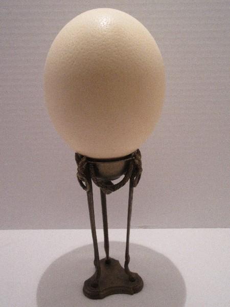 Real Deal Ostrich Egg w/ Rams Head & Swag Design Stand