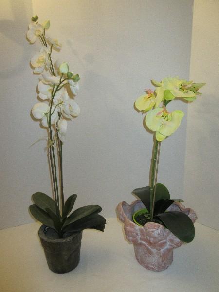 Lot - 2 Silk Orchids in Bloom & Terra Cotta Relief Cherubs Bust White Wash Finish