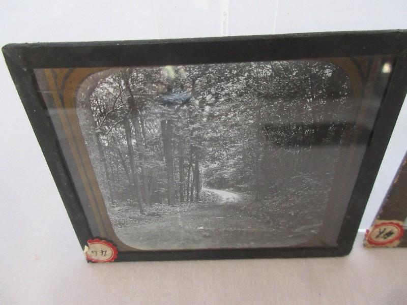 3 Early Photographic Plates Tree Lined Country Road, Mill Baseball Team & Lake Shore Scene