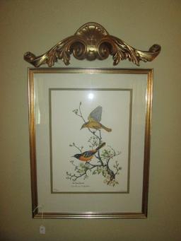 Baltimore Oriole Birds in Branches Litho Print Limited 1847/2000 Edition