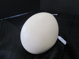 White Unpainted Ostrich Egg