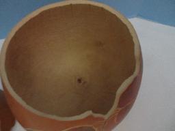 Extraordinary Gourd Craft Originals Artisan 2 Piece Gourd w/ Intaglio Foliate Design