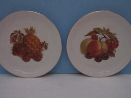 Set - 6 Kahla China Various Fruits & Nuts Pattern Embossed Rim Gold Trim 7 5/8" Salad Plates