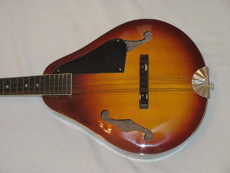 Mandolin Stringed Instrument w/ Case