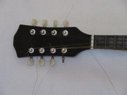 Mandolin Stringed Instrument w/ Case