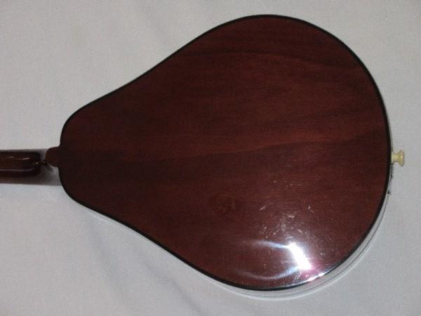 Mandolin Stringed Instrument w/ Case