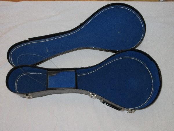 Mandolin Stringed Instrument w/ Case