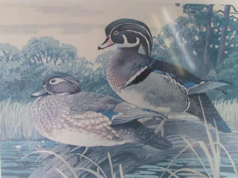 Waterfowl & Hunting Stamp Picture Litho Print Signed Artist Lee LeBlanc