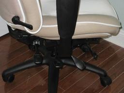 Life Form High Back Executive Ergonomic Desk Chair