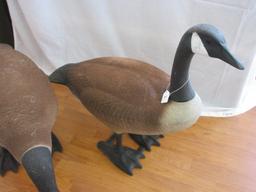 Gaggle of 4 Realistic Canada Geese Set Molded Garden Statues Standing & Feeding