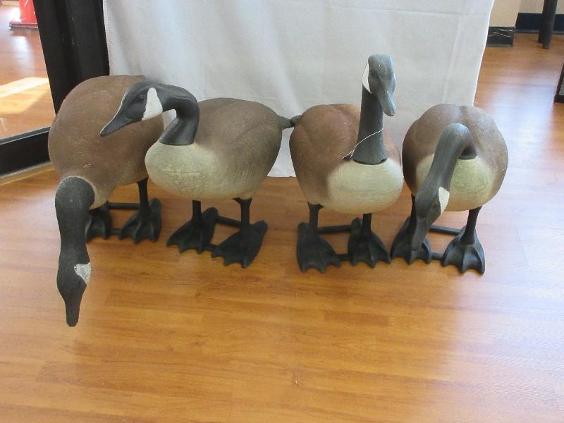 Gaggle of 4 Realistic Canada Geese Set Molded Garden Statues Standing & Feeding