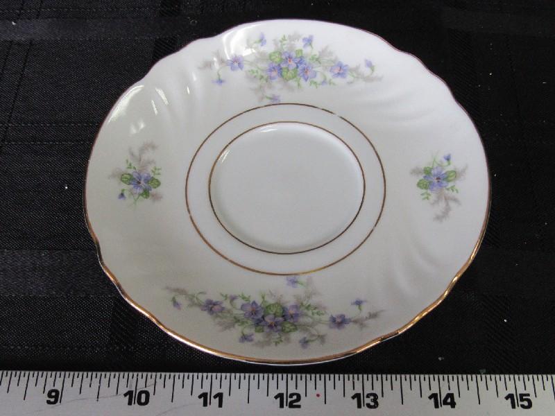 Johann Haviland Waldershof Germany Violets 17 Saucers