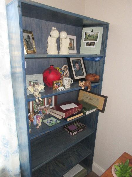 Stately Blue Stained Wooden Bookcase