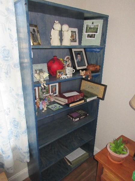 Stately Blue Stained Wooden Bookcase