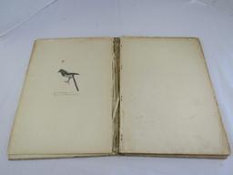 Done in The Open Drawings by Frederic Remington Coffee Table Book