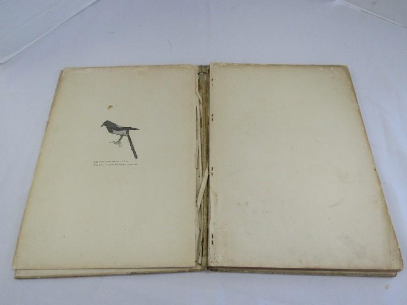 Done in The Open Drawings by Frederic Remington Coffee Table Book