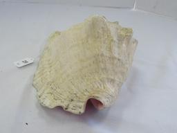 Large Conch/Seashell White & Pink Motif Décor