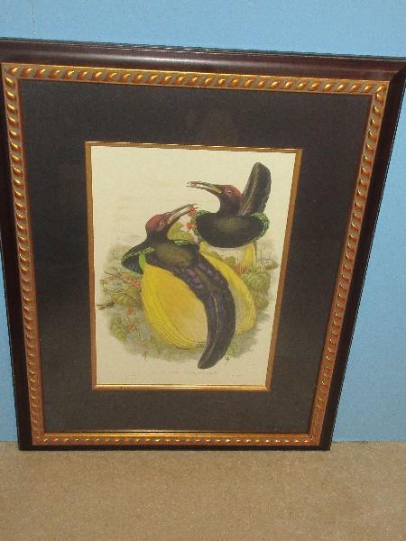 Splendid Artist William Matthew Hart Audubon Style Illustration Lithograph Twelve Wired Bird