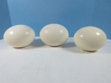 Premium Blank Ostrich Egg Shells Ready for Crafting