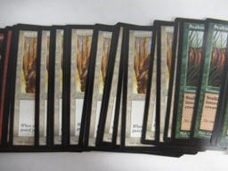 PORTAL Lot of (60) Magic the Gathering Cards