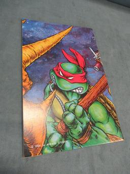 Teenage Mutant Ninja Turtles #6 1986