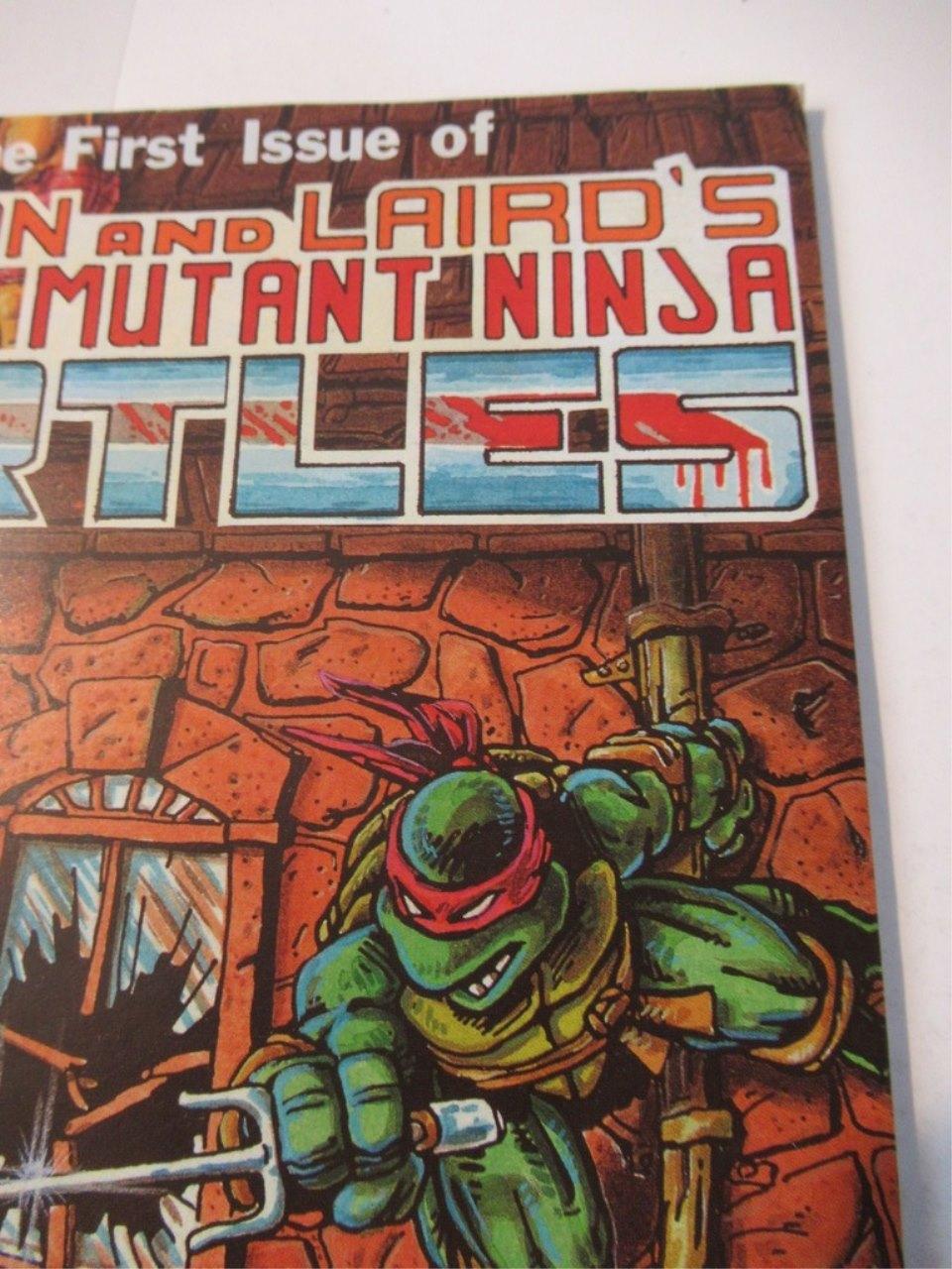 Teenage Mutant Ninja Turtles #1