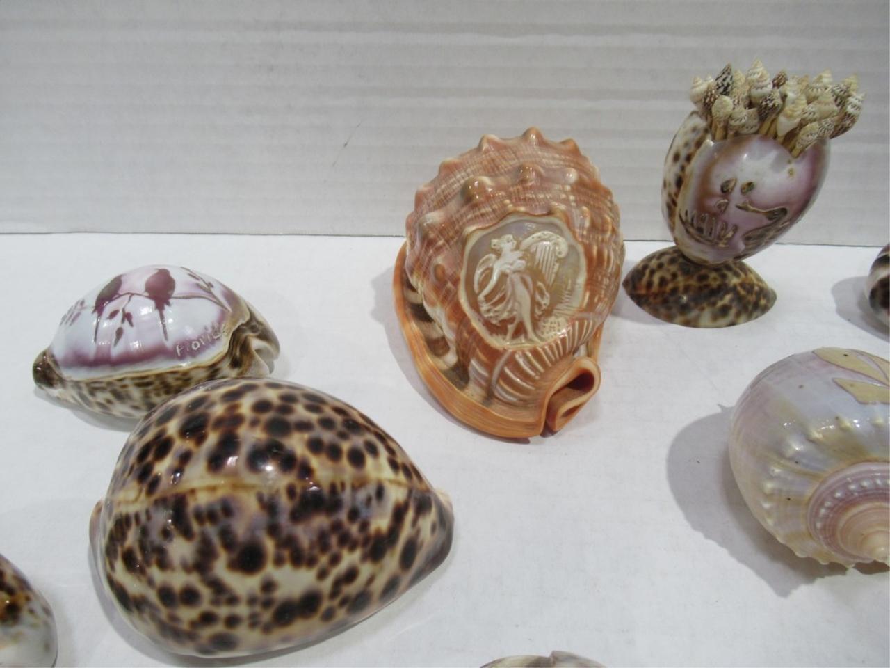 Carved Sea Shells Box Lot