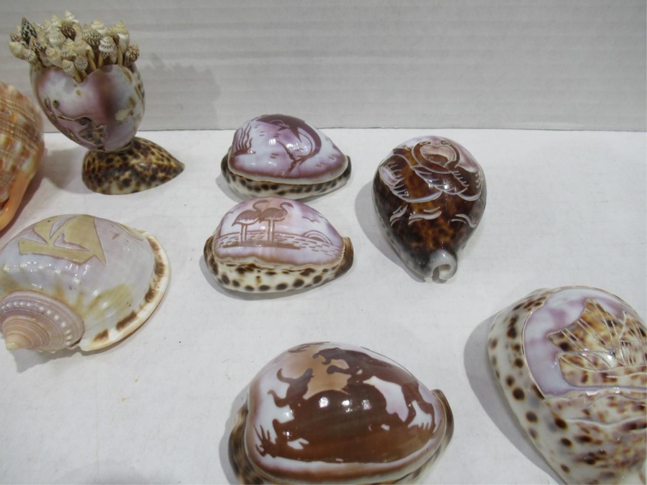 Carved Sea Shells Box Lot