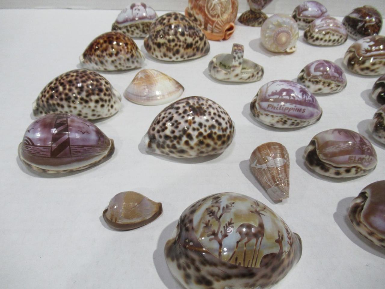 Carved Sea Shells Box Lot