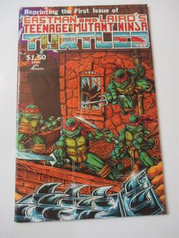 Teenage Mutant Ninja Turtles #1/Key!