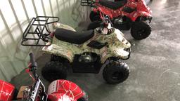 Unused Tao Motor B110 Four Wheeler,