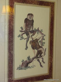 (DR) FRAMED AND DOUBLE MATTED PRINT OF CLIMBING MONKEYS IN GOLD TONED FRAME: 2'x2' 3.5"