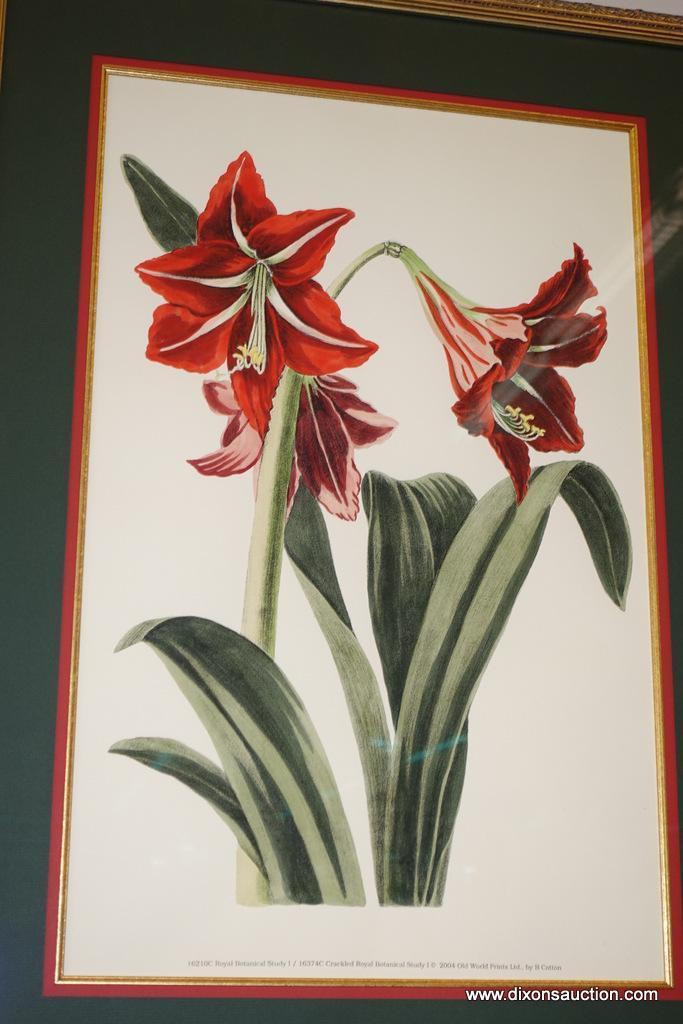 (WALL) PAIR OF FLORAL FRAMED/MATTED PRINTS; DOUBLE MATTED (GREEN WITH RED) PRINTS BY JOHN ROBERTSON,