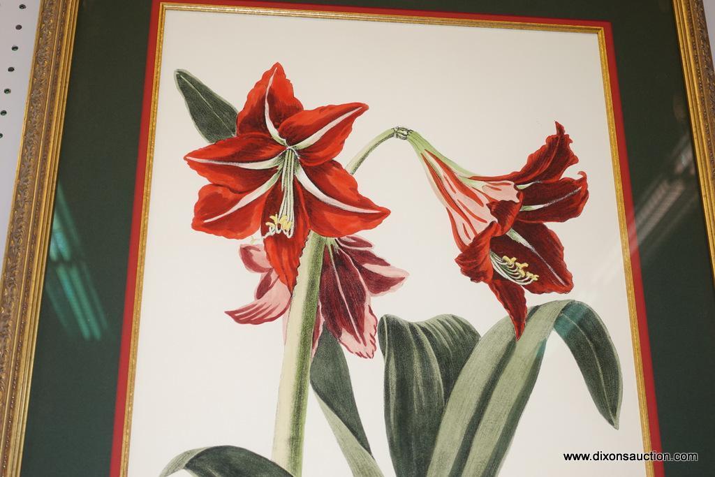 (WALL) PAIR OF FLORAL FRAMED/MATTED PRINTS; DOUBLE MATTED (GREEN WITH RED) PRINTS BY JOHN ROBERTSON,