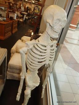 VINTAGE LIFE-SIZE SKELETON