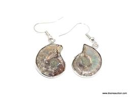 AMMONITE EARRINGS