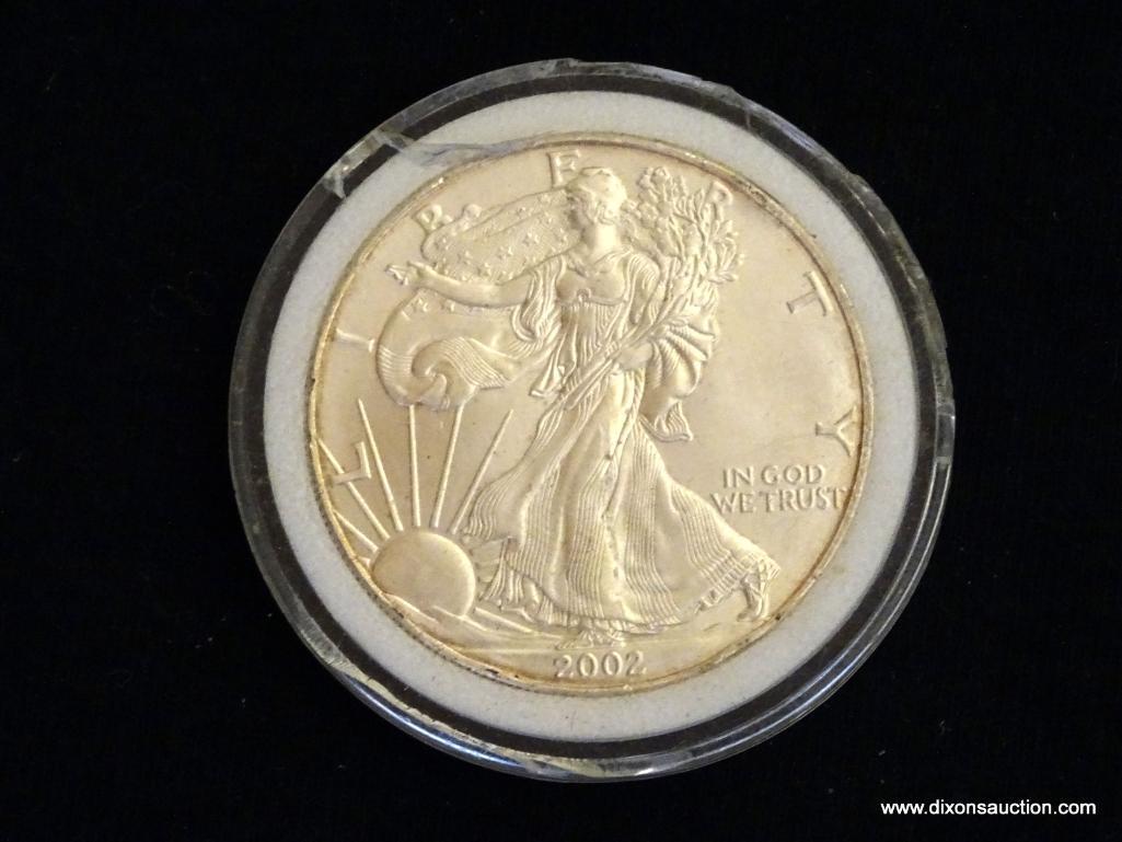 2002 Walking Liberty .999 1 OZ Coin